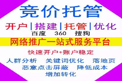 百度推广案例：精准广告投放策略解析